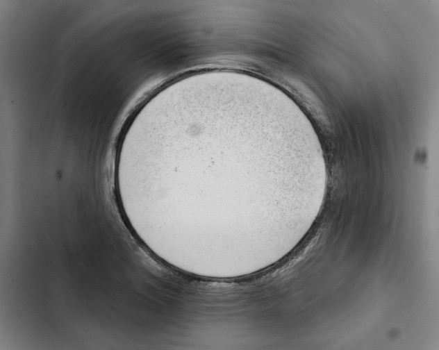 X0000102351180200808291154