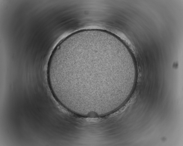 X0000102351181200808291154