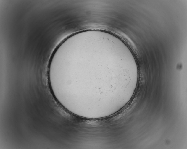 X0000102351182200808291154