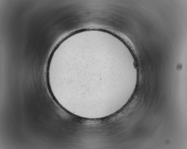 X0000102351183200808291154