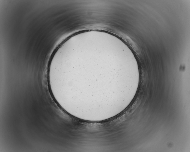 X0000102351184200808291154