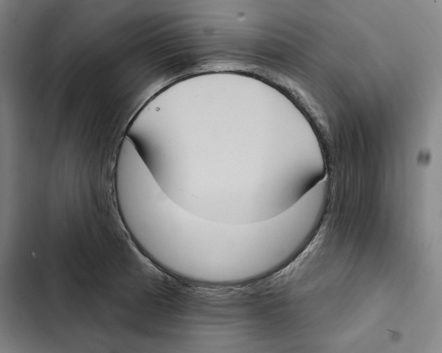 X0000102351185200808291153