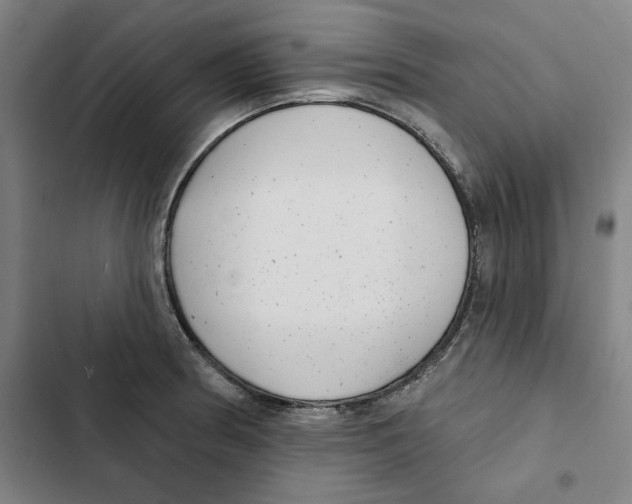 X0000102351186200808291153