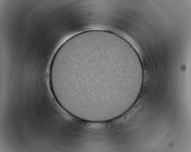 X0000102351187200808291153