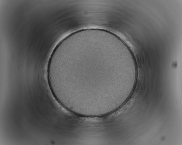 X0000102351189200808291153