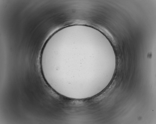 X0000102351190200808291153