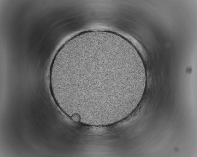 X0000102351191200808291153