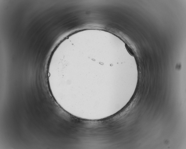 X0000102351192200808291153