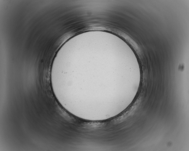 X0000102351193200808291153