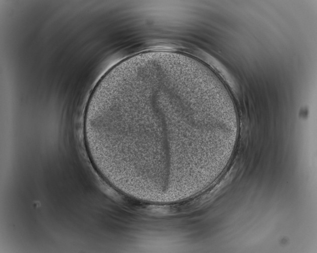 X0000102351194200808291153