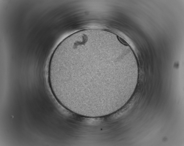 X0000102351195200808291153