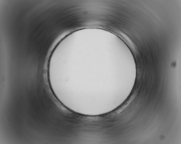X0000102351196200808291153