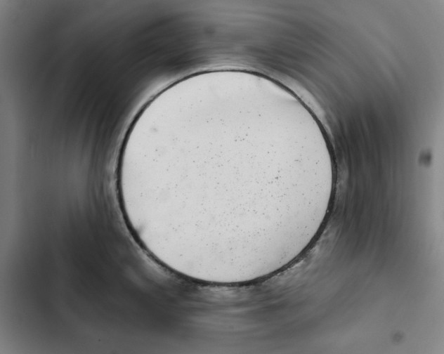 X0000102351197200808291153
