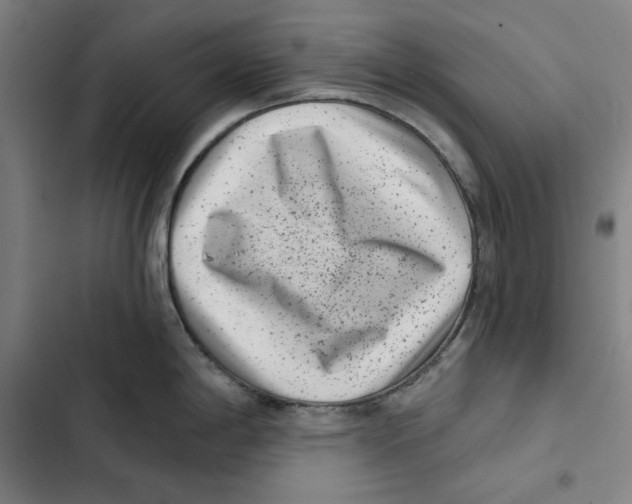 X0000102351198200808291153