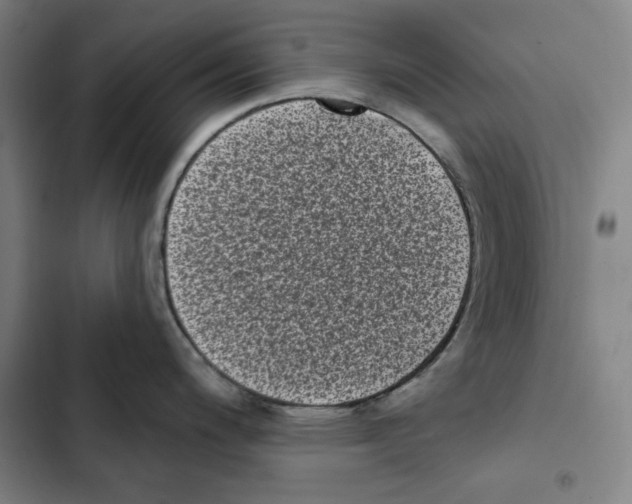 X0000102351200200808291153