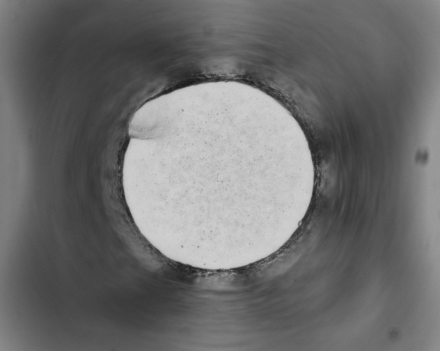 X0000102351201200808291152