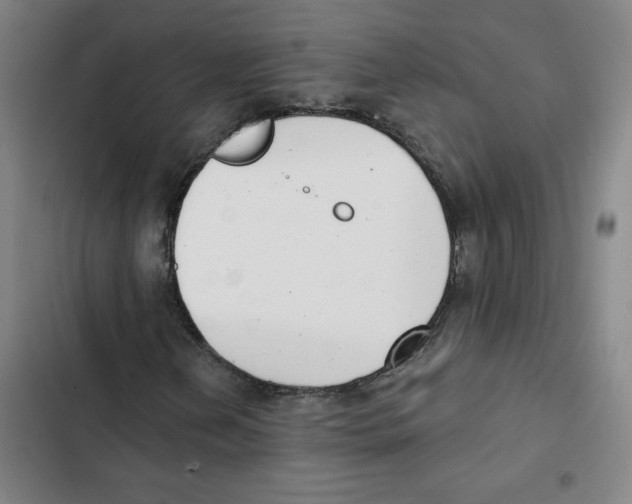 X0000102351202200808291152