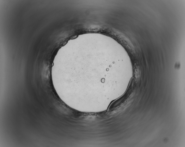 X0000102351204200808291152