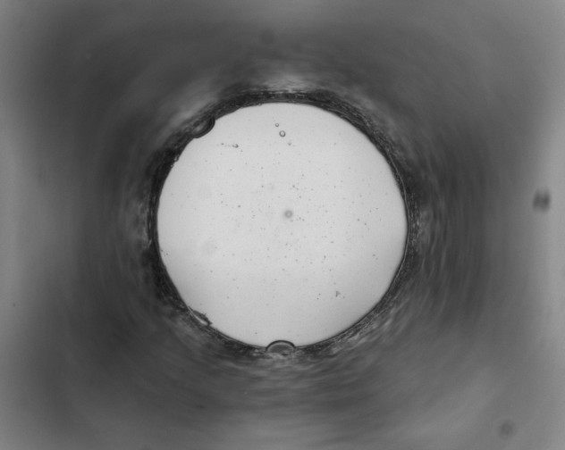 X0000102351205200808291153