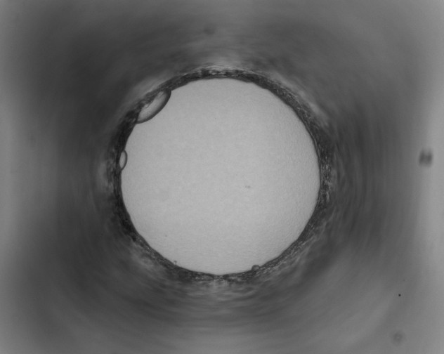 X0000102351207200808291153