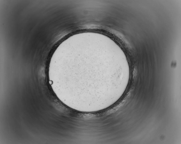 X0000102351209200808291153