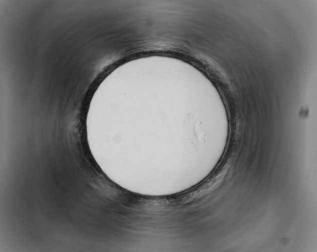 X0000102351210200808291153