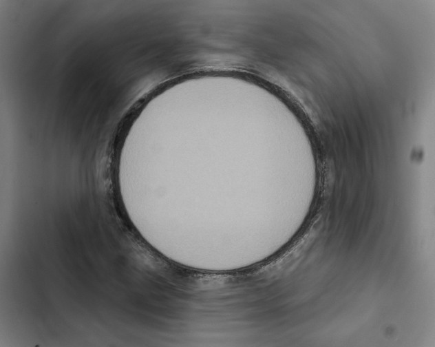 X0000102351211200808291153