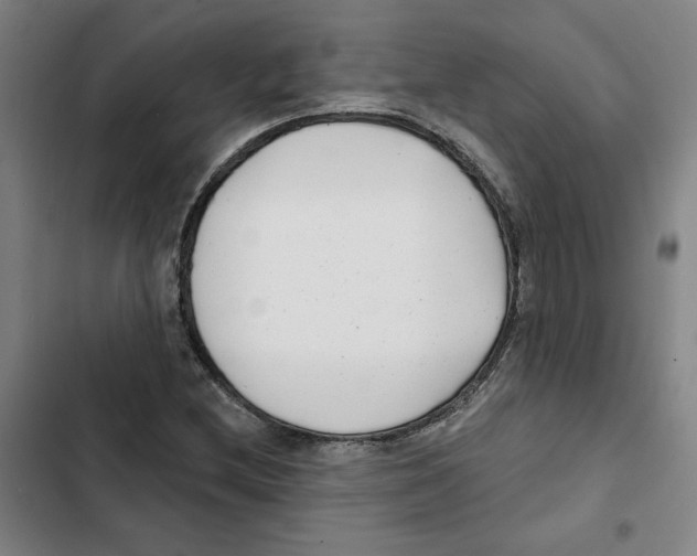 X0000102351212200808291153