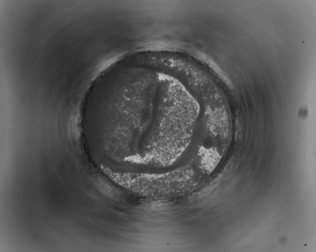 X0000102351213200808291153