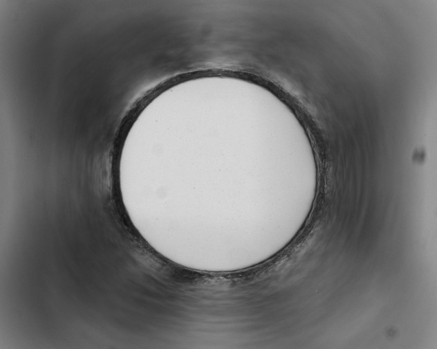 X0000102351214200808291153