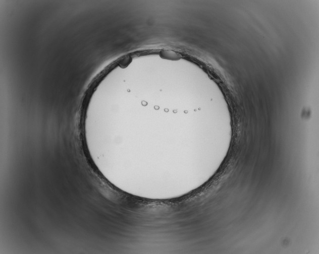 X0000102351216200808291153