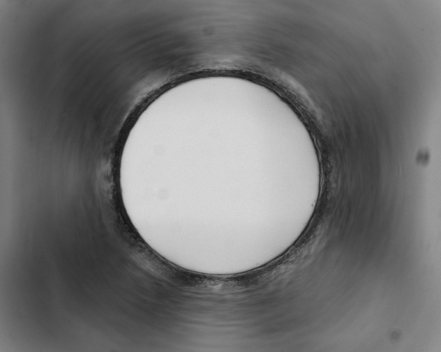 X0000102351218200808291153