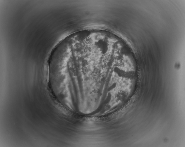 X0000102351219200808291153