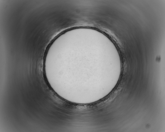X0000102351220200808291153