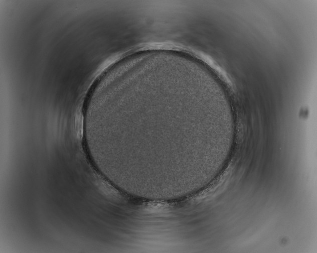 X0000102351221200808291153