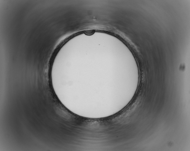 X0000102351222200808291153