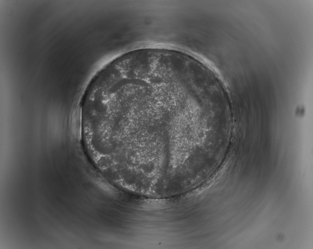 X0000102351223200808291153