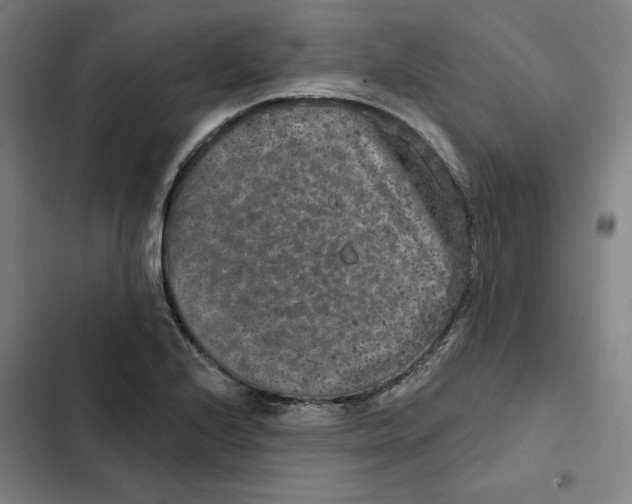 X0000102351224200808291153