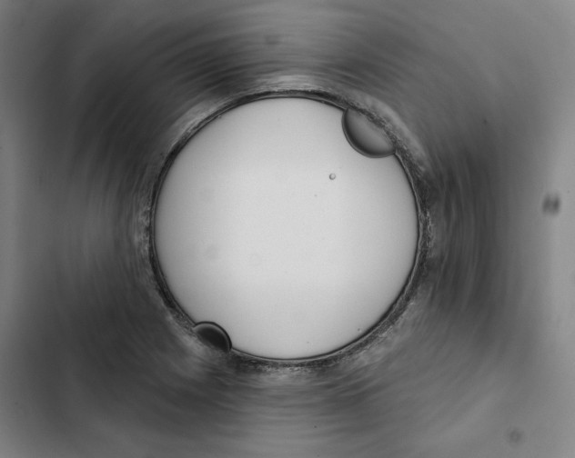 X0000102351225200808291153