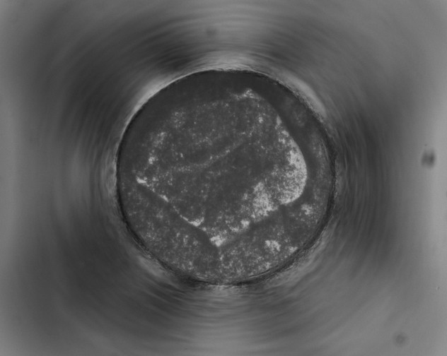 X0000102351226200808291153