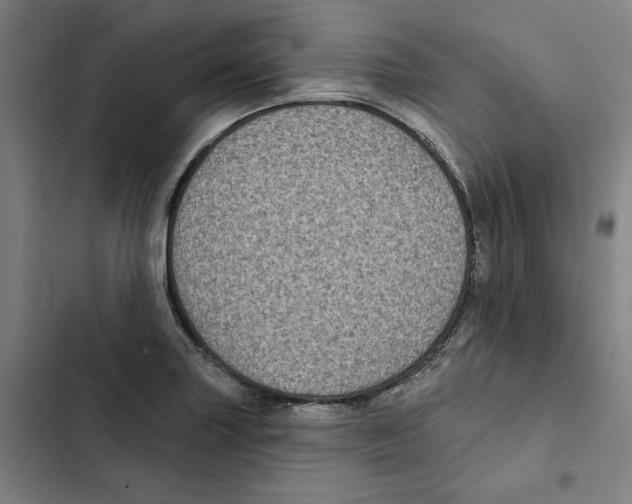 X0000102351227200808291153