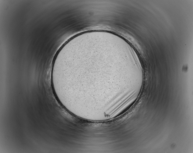 X0000102351228200808291153