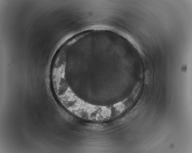 X0000102351229200808291153