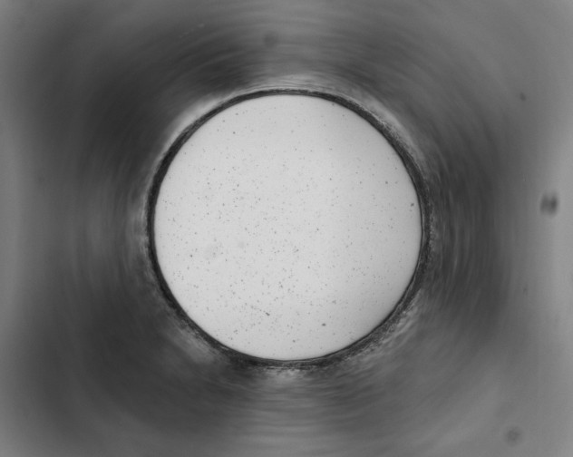X0000102351230200808291153