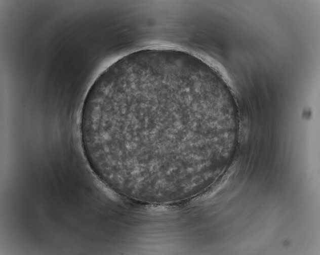 X0000102351231200808291153