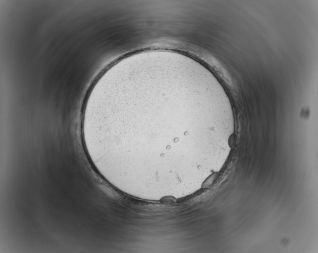 X0000102351232200808291153