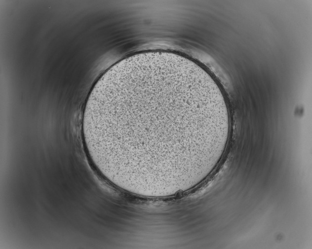 X0000102351233200808291153