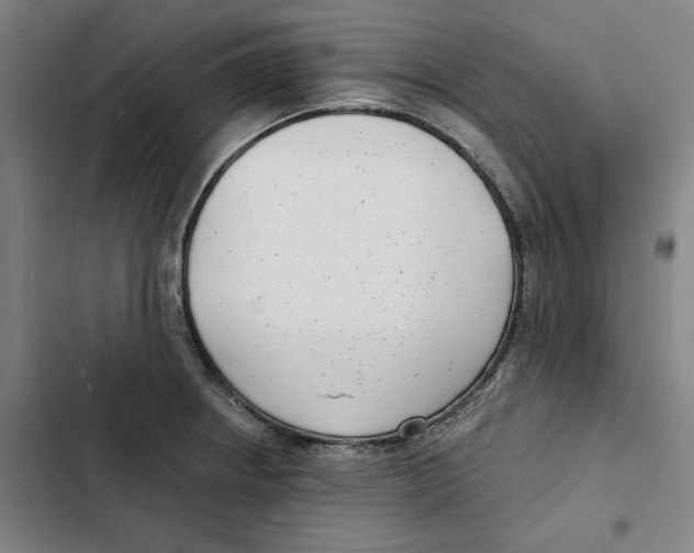X0000102351234200808291153