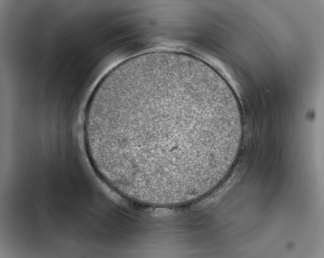 X0000102351235200808291153