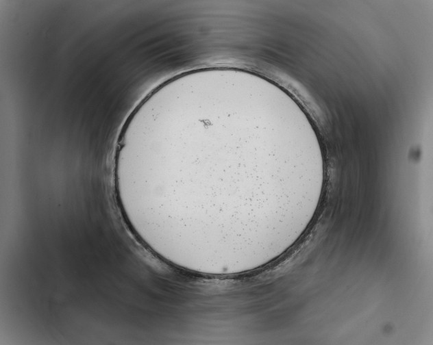 X0000102351236200808291153